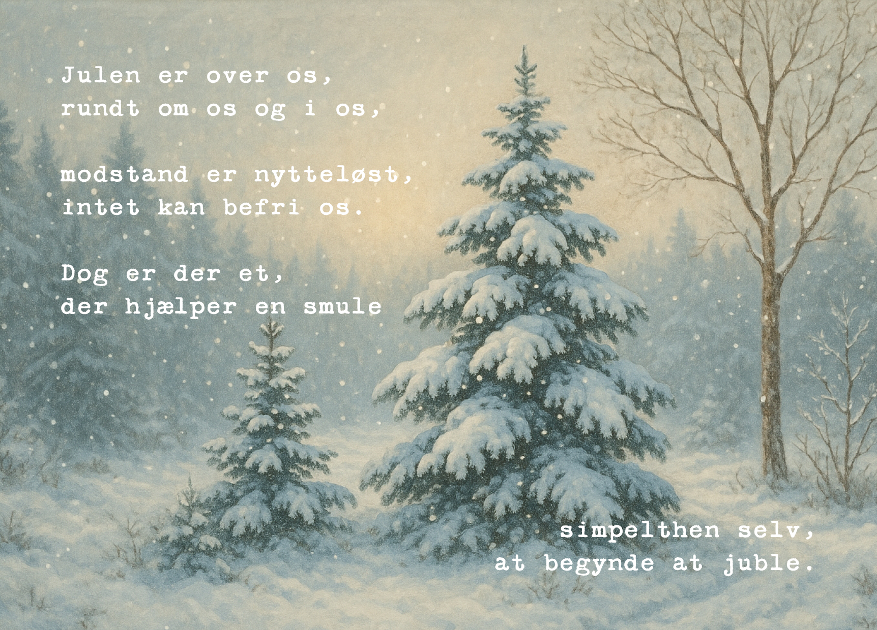 DSF kalender_november_2026